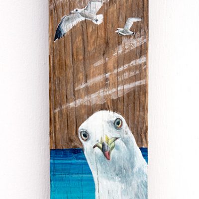 Curious seagull, painting with acrylic colors on driftwood - Jardin del Mar